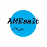 AMEsalt - Supplier and distributor of low cost high quality pool- and water softener salt in Florida